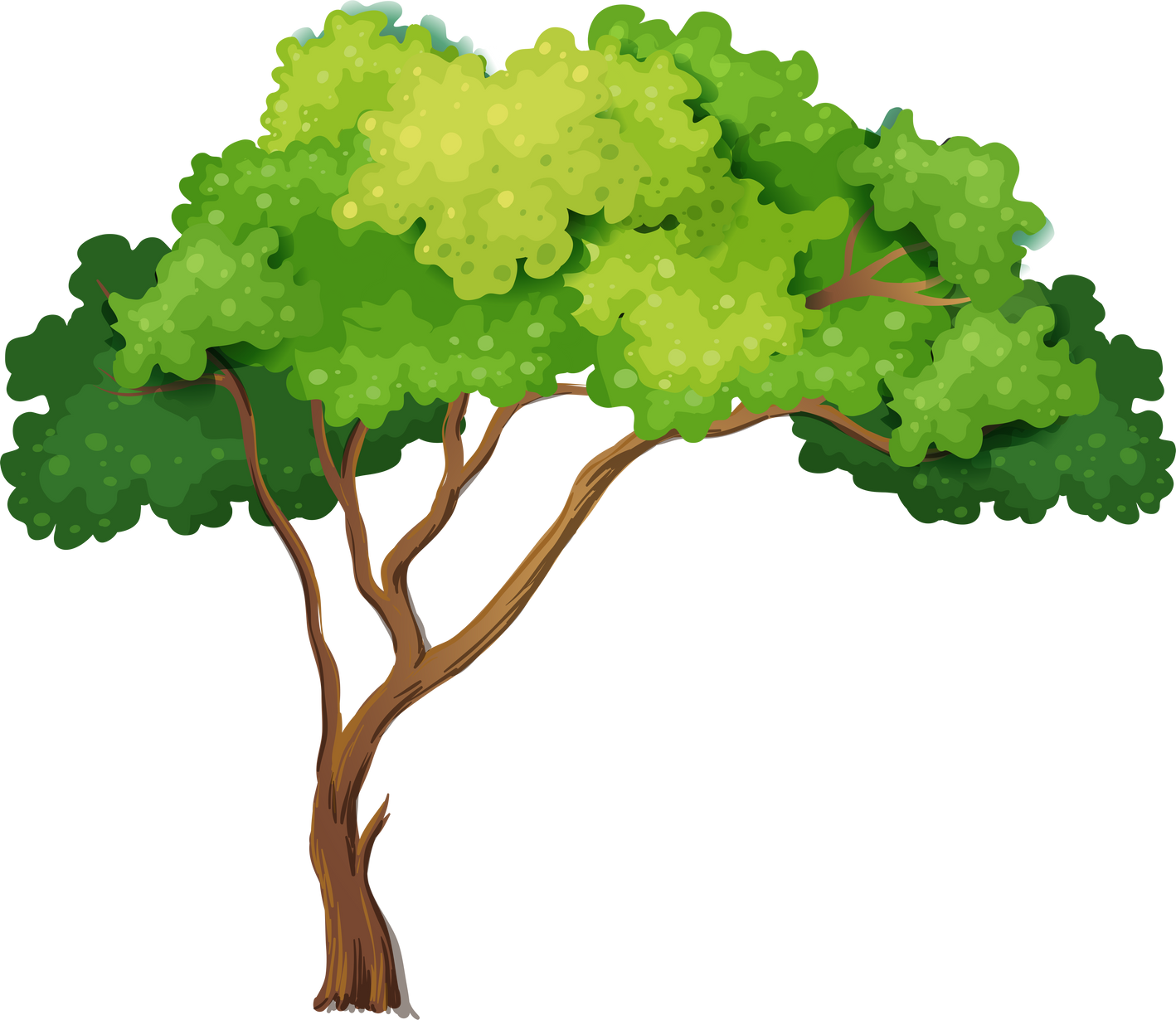 Nature Tree Illustration